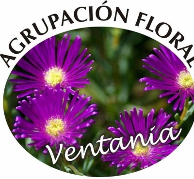 Sierra de la Ventana - Llega la 20° Muestra Anual Floral de la Agrupación "Ventania"