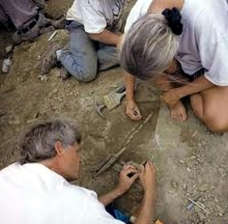 Saldungaray - Habrà un importante Encuentro de Arqueología Regional 