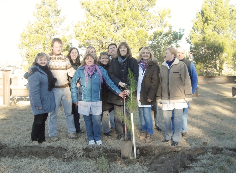 Se plantaron 300 ejemplares de pinos en Chasicò