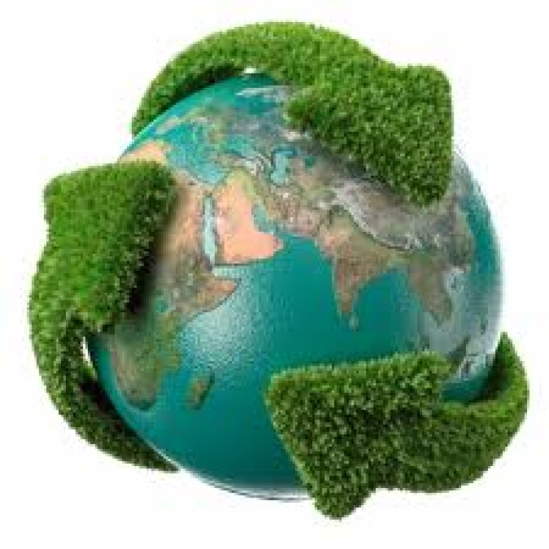 Puan - 5 de junio Día Mundial del Medio Ambiente