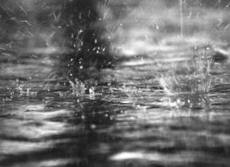 Las lluvias llegaron a la regiòn en un momento clave (informe del Ingeniero Eduardo Sierra)