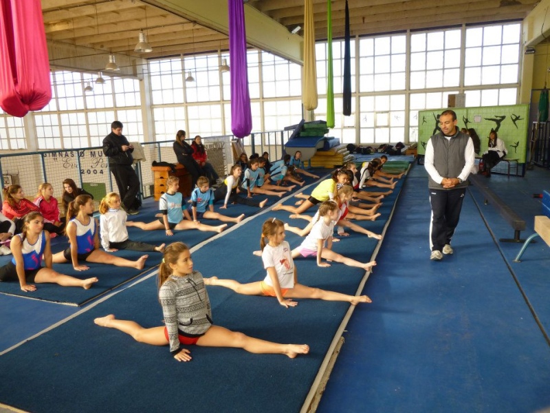 Tornquist - Con más de 300 gimnastas, mañana arranca, el 1º Torneo Pcial. Promocional de Gimnasia Artística Femenina “Nivel E”