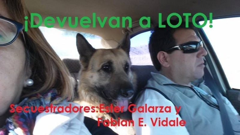 Villa Ventana - Su dueña espera encontrarse con "Loto", su mascota