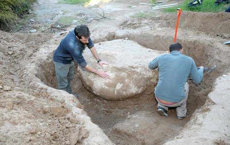 Santa Rosa - Tras las lluvias, descubren fósiles de un gliptodonte