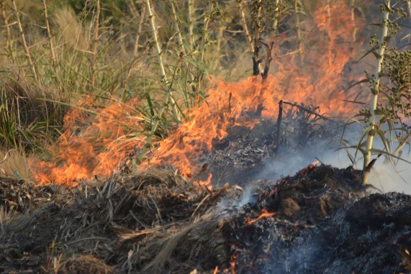 Sierra de la Ventana - Personal municipal realiza una quema controlada de ramas