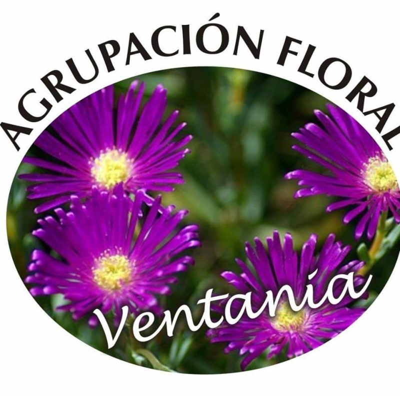 Sierra de la Ventana - Ya se viene la 16º muestra floral "Jardines Climáticos""