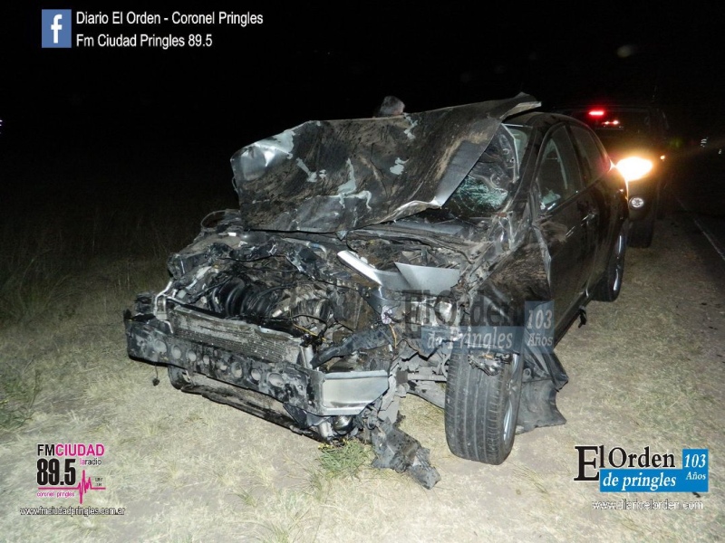 Ruta 51 - Un vehículo impactó contra ganado vacuno cerca de Fra-Pal