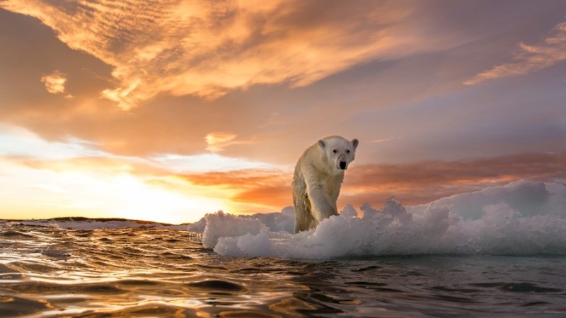 La ONU confirma récord de calor en el Ártico y "enciende las alarmas" sobre el cambio climático