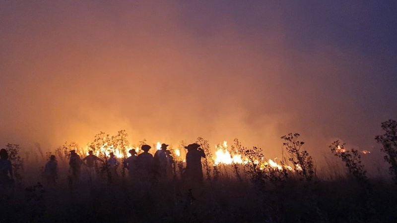 Cáritas presente en los incendios de Corrientes y Misiones