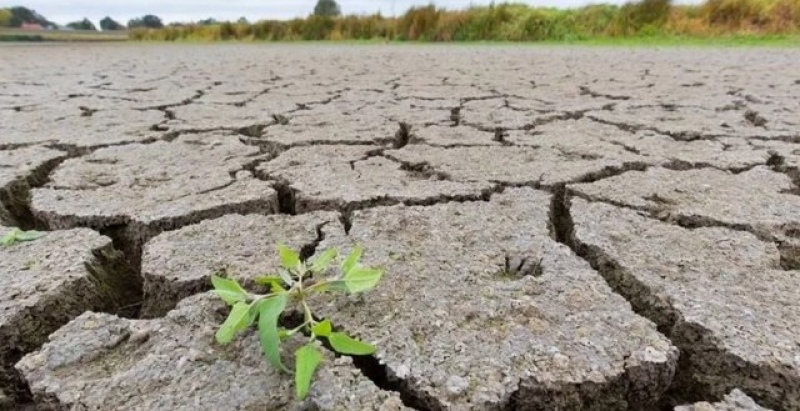 La Provincia continúa impulsando medidas de apoyo al sector agropecuario afectado por la sequía